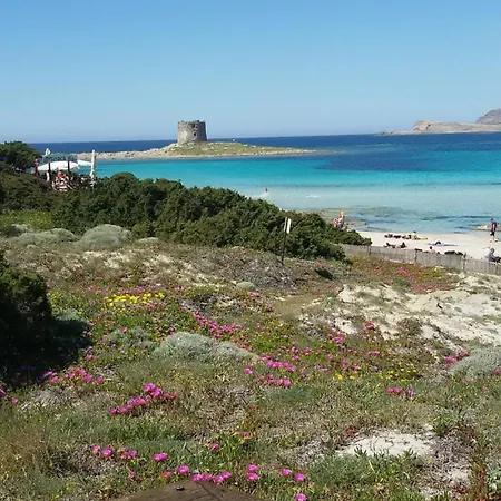 Holiday home Beautiful View Stintino Blu House *